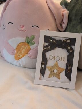 Dior Gold Star with Navy & Gold Dior Ribbon in White Shadowbox Frame